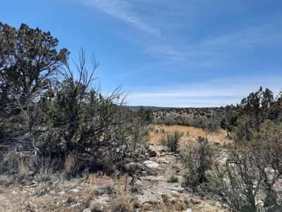 Gorgeous Views - image 6