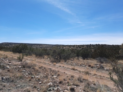 Gorgeous Views - image 2