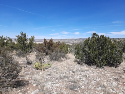 Gorgeous Views - image 1