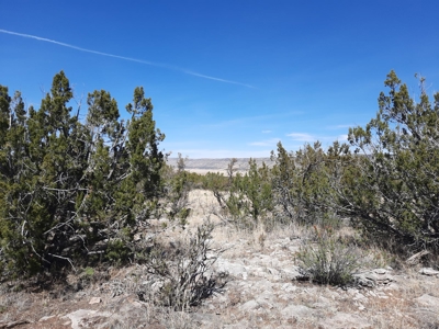 Gorgeous Views - image 9