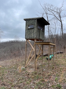 Premier Hunting Acreage Bordering Mark Twain National Forest - image 18