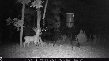 Premier Hunting Acreage Bordering Mark Twain National Forest - image 24