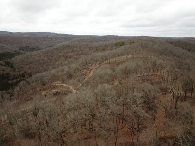 Premier Hunting Acreage Bordering Mark Twain National Forest - image 6