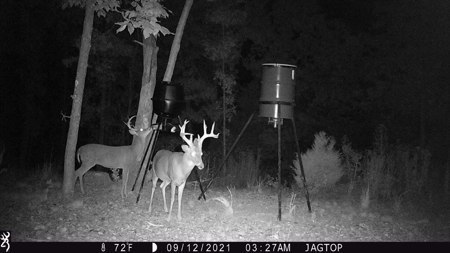 Premier Hunting Acreage Bordering Mark Twain National Forest - image 28