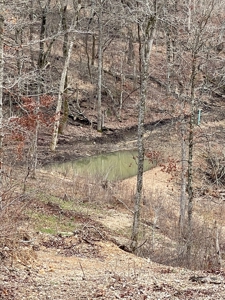 Premier Hunting Acreage Bordering Mark Twain National Forest - image 15