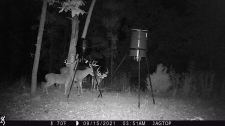Premier Hunting Acreage Bordering Mark Twain National Forest - image 27