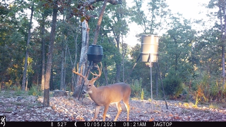 Premier Hunting Acreage Bordering Mark Twain National Forest - image 23
