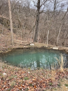 Premier Hunting Acreage Bordering Mark Twain National Forest - image 17