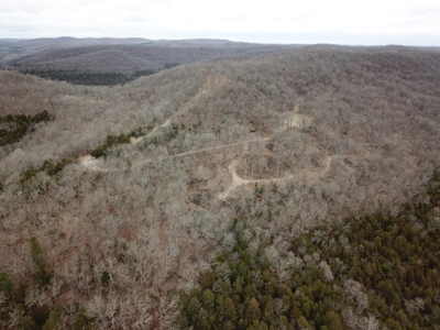 Premier Hunting Acreage Bordering Mark Twain National Forest - image 11