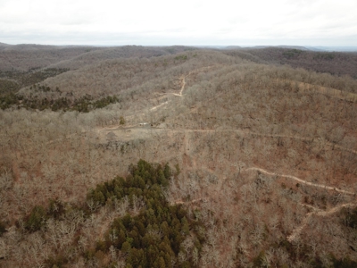 Premier Hunting Acreage Bordering Mark Twain National Forest - image 2