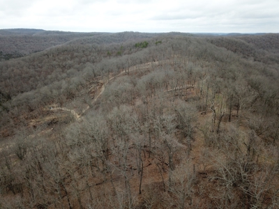 Premier Hunting Acreage Bordering Mark Twain National Forest - image 4