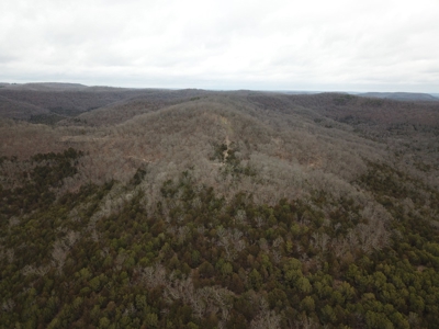 Premier Hunting Acreage Bordering Mark Twain National Forest - image 3