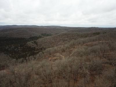 Premier Hunting Acreage Bordering Mark Twain National Forest - image 8