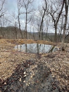 Premier Hunting Acreage Bordering Mark Twain National Forest - image 19