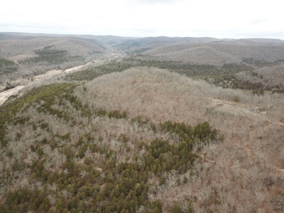 Premier Hunting Acreage Bordering Mark Twain National Forest - image 13