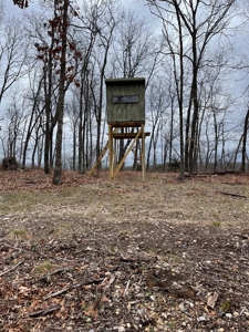 Premier Hunting Acreage Bordering Mark Twain National Forest - image 16