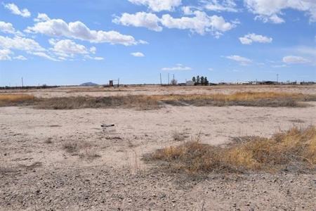 Land for sale - image 1