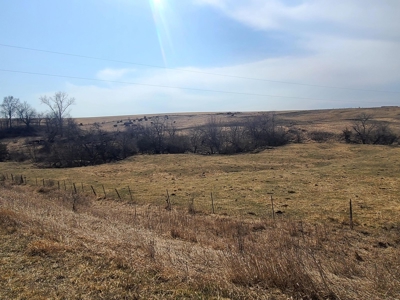 Land For Sale - image 14