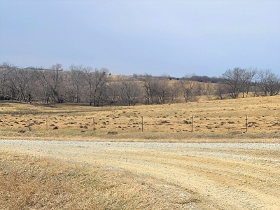 Land For Sale - image 12