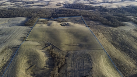 Land For Sale - image 30
