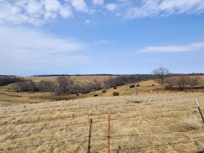 Land For Sale - image 1
