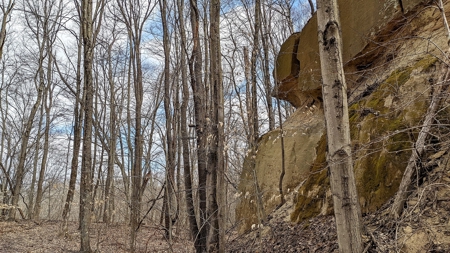 Ohio Land Bordering Wayne National Forest - image 26