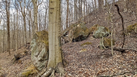 Ohio Land Bordering Wayne National Forest - image 21