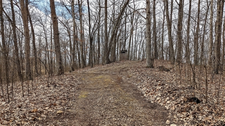 Ohio Land Bordering Wayne National Forest - image 29