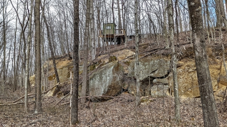Ohio Land Bordering Wayne National Forest - image 17