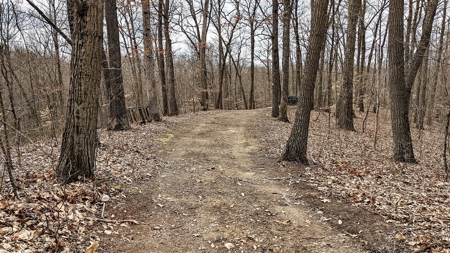 Ohio Land Bordering Wayne National Forest - image 30