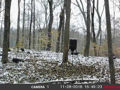 Ohio Land Bordering Wayne National Forest - image 38