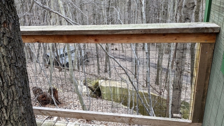 Ohio Land Bordering Wayne National Forest - image 12
