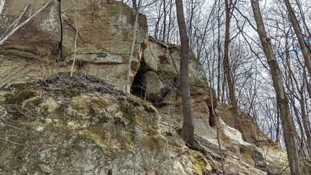 Ohio Land Bordering Wayne National Forest - image 25