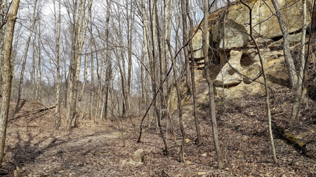 Ohio Land Bordering Wayne National Forest - image 24