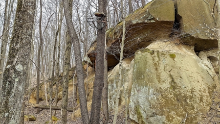 Ohio Land Bordering Wayne National Forest - image 33