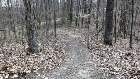 Ohio Land Bordering Wayne National Forest - image 15
