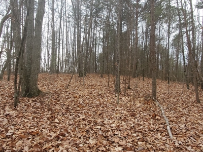 Taylorsville, NC Brushy Mountains Hill Top Property - image 3