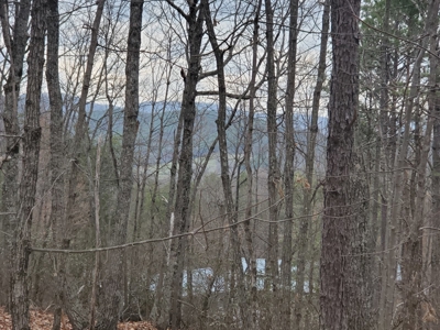 Taylorsville, NC Brushy Mountains Hill Top Property - image 2