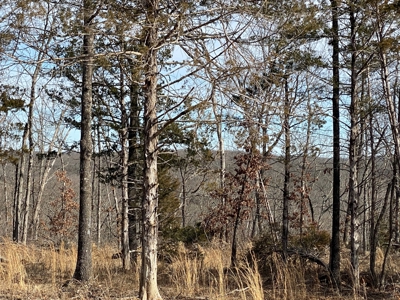 Large Acreage for Sale in Maries County, MO - image 7