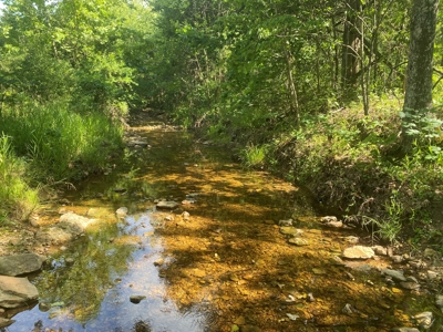Large Acreage for Sale in Maries County, MO - image 4