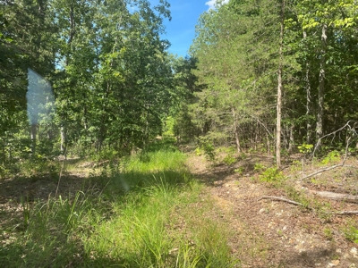 Large Acreage for Sale in Maries County, MO - image 5