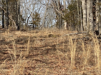 Large Acreage for Sale in Maries County, MO - image 8