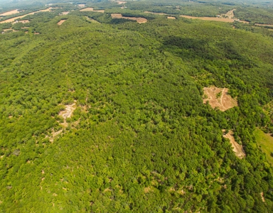 Large Acreage for Sale in Maries County, MO - image 11