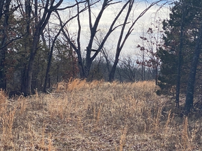 Large Acreage for Sale in Maries County, MO - image 9