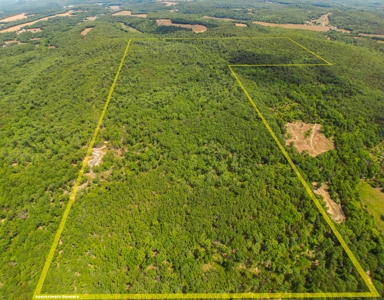 Large Acreage for Sale in Maries County, MO - image 3
