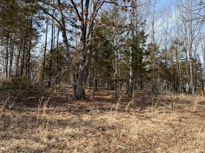 Large Acreage for Sale in Maries County, MO - image 10