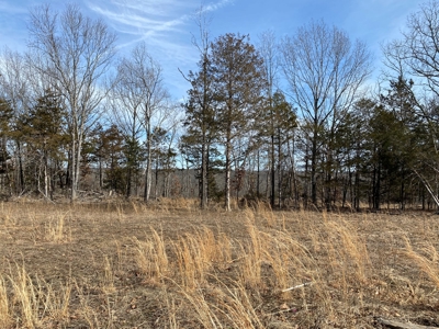 Large Acreage for Sale in Maries County, MO - image 6