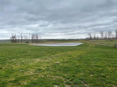 Large Cattle Ranch For Sale In Southern Missouri - image 39