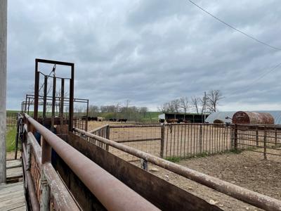 Large Cattle Ranch For Sale In Southern Missouri - image 24