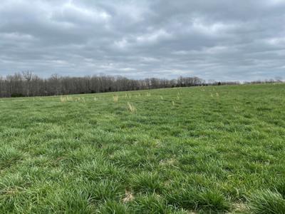 Large Cattle Ranch For Sale In Southern Missouri - image 7